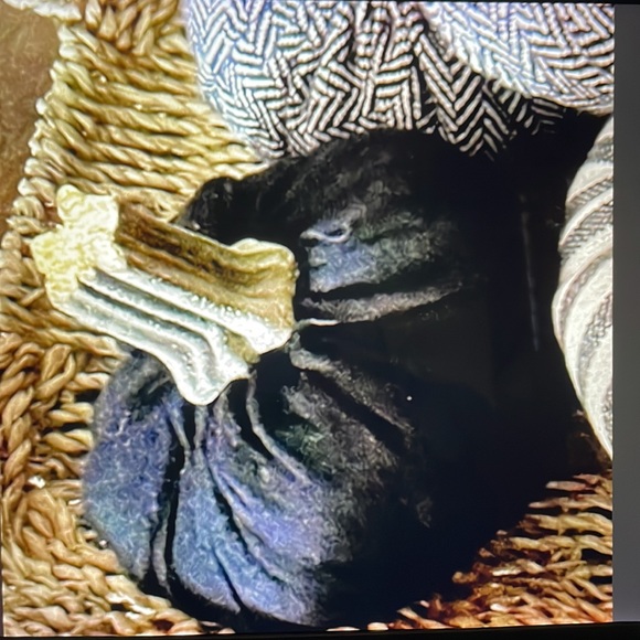 Pumpkin handmade w/real pumpkin stems - Picture 3 of 9